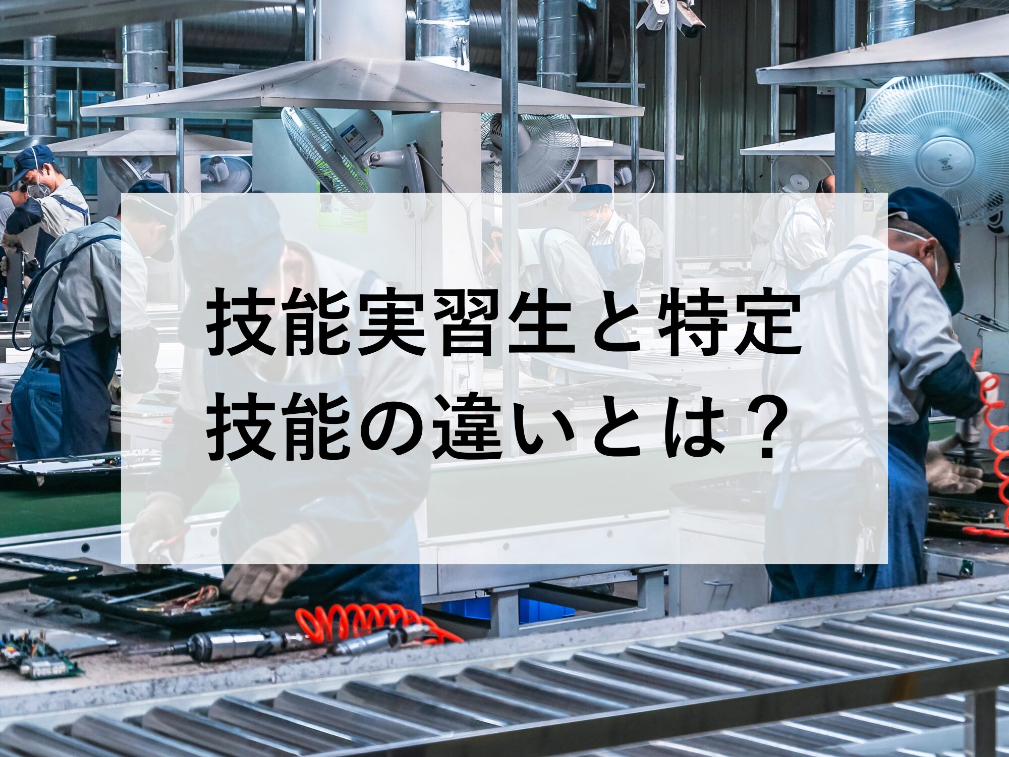技能実習生と特定技能の違いとは？
