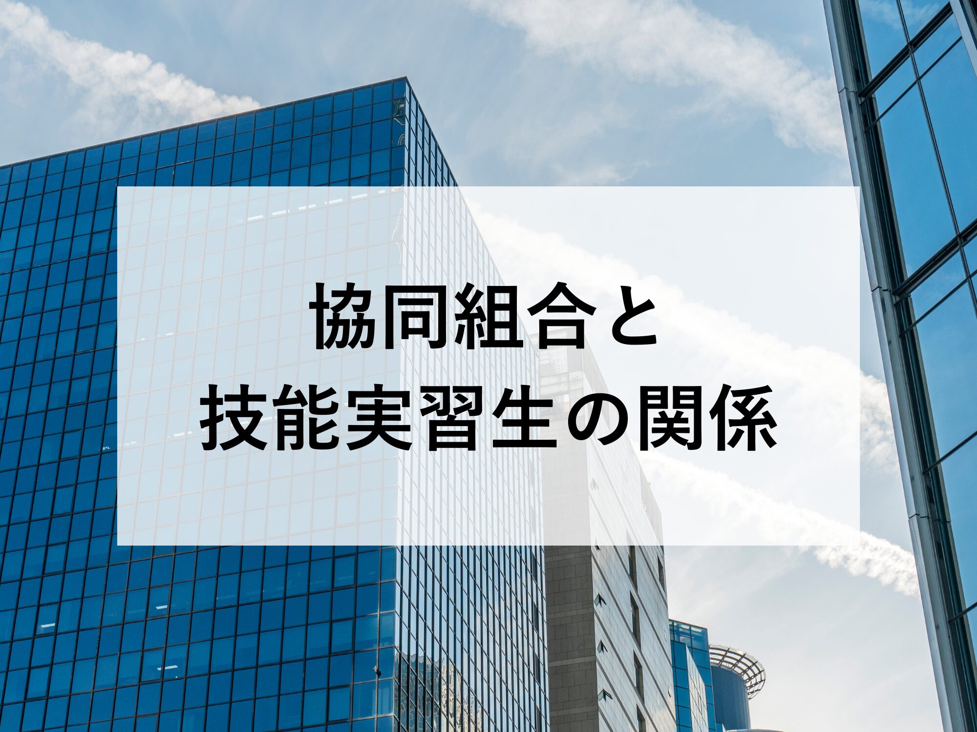 協同組合と技能実習生の関係