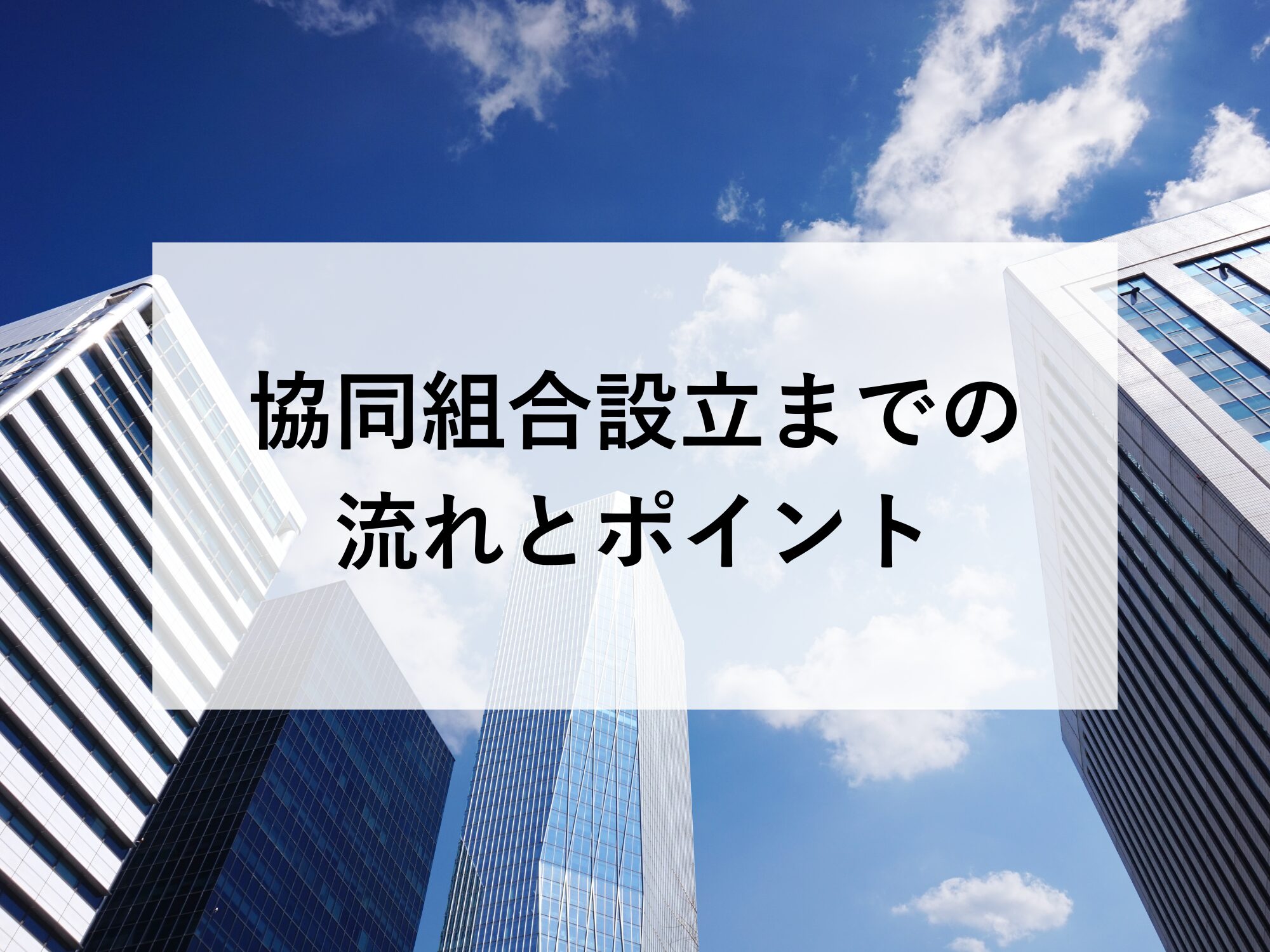 協同組合設立までの流れとポイント